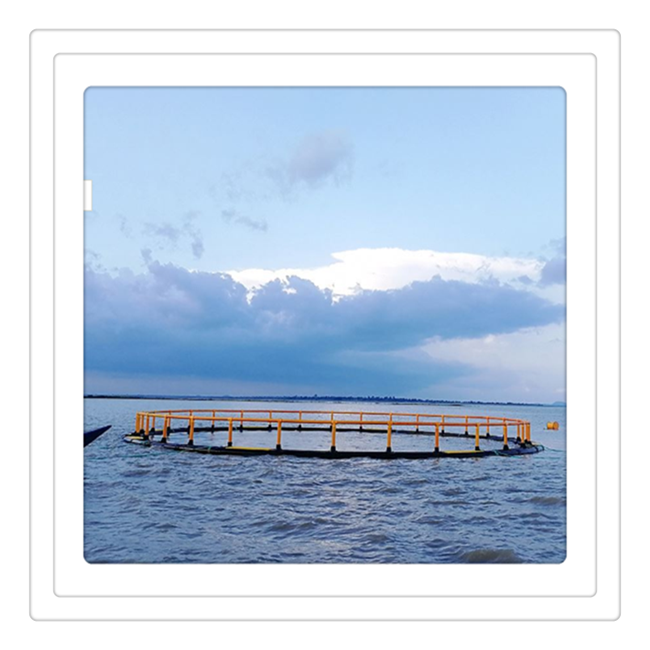 HDPE Circular Floating Fish Cage frame  System for Aquaculture Farm Sea Fish Farm Equipment