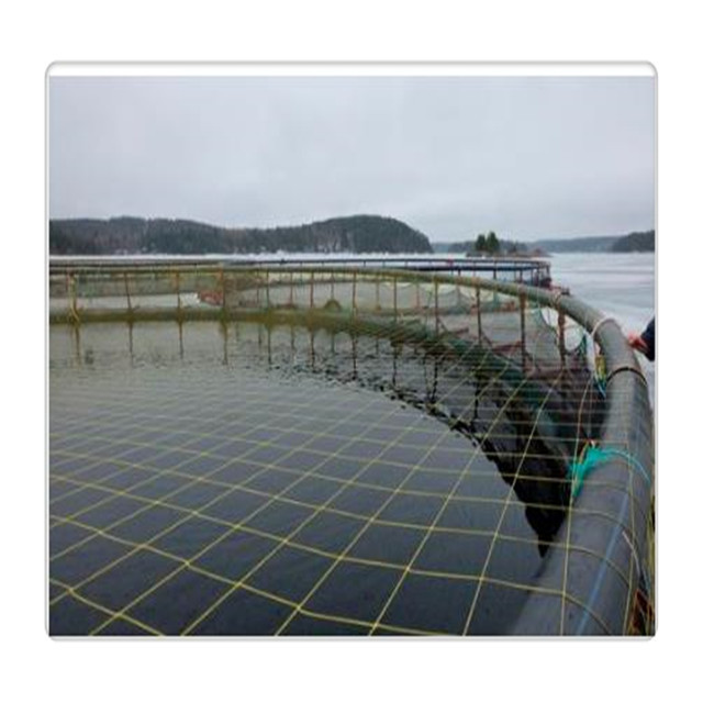 UV protected china aquaculture tilapia fish farming cages 25 meters