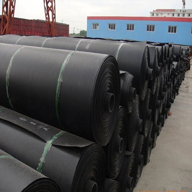 HDPE Geomembrane Swimming Pool Liner/black geomembrane hdpe fish farming pond liner