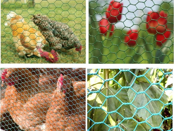 iron wire mesh/hex netting/chicken wire mesh