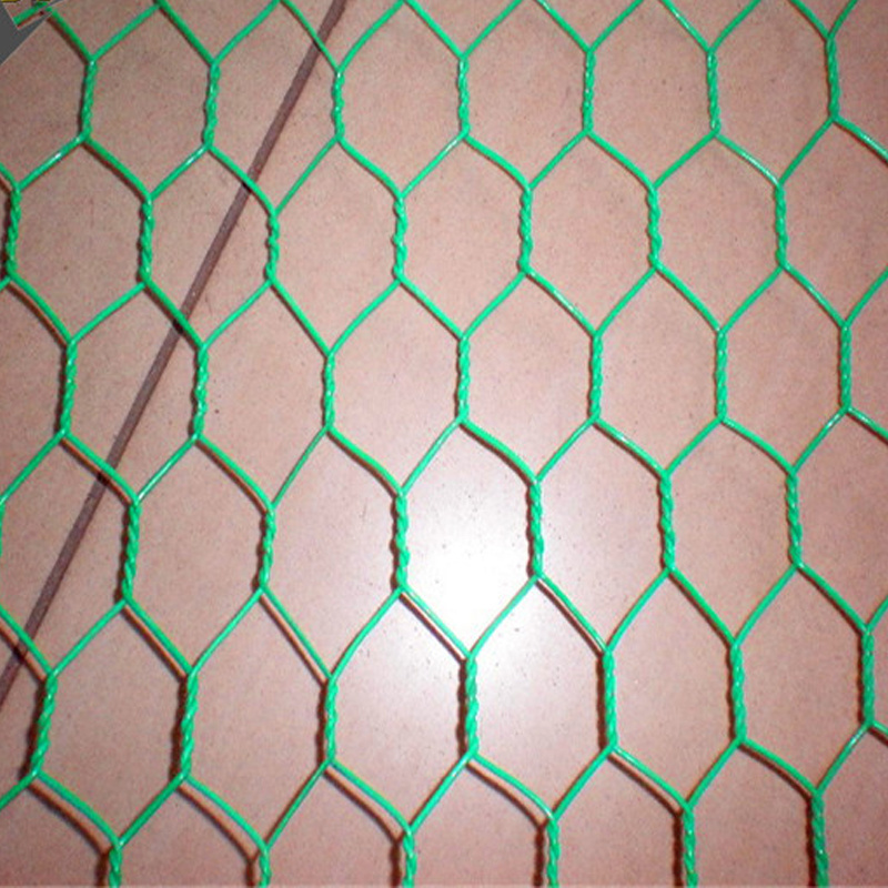 chicken mesh/hex netting/iron wire mesh