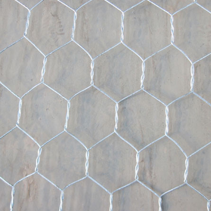 chicken mesh/hex netting/iron wire mesh