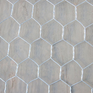 chicken mesh/hex netting/iron wire mesh