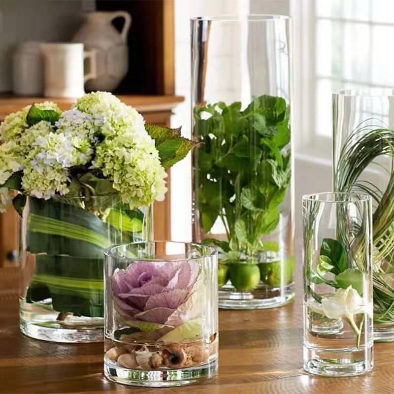 Designer commonly used model room decorative European simple style transparent glass hydroponic vase