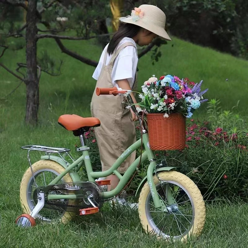 2024 New Fashion Design 12'' 14'' 16'' Bike Boy Girl pink green Children Bicycle For Kids