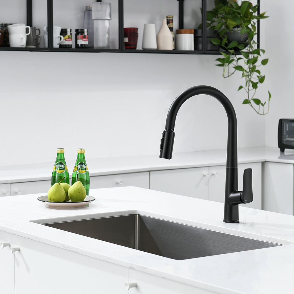 Pull Out Kitchen Faucet Sink Faucet Kitchen Tap Black Deck Mounted Brass Modern Contemporary Apartment Hot Cold Water Mixer HANC