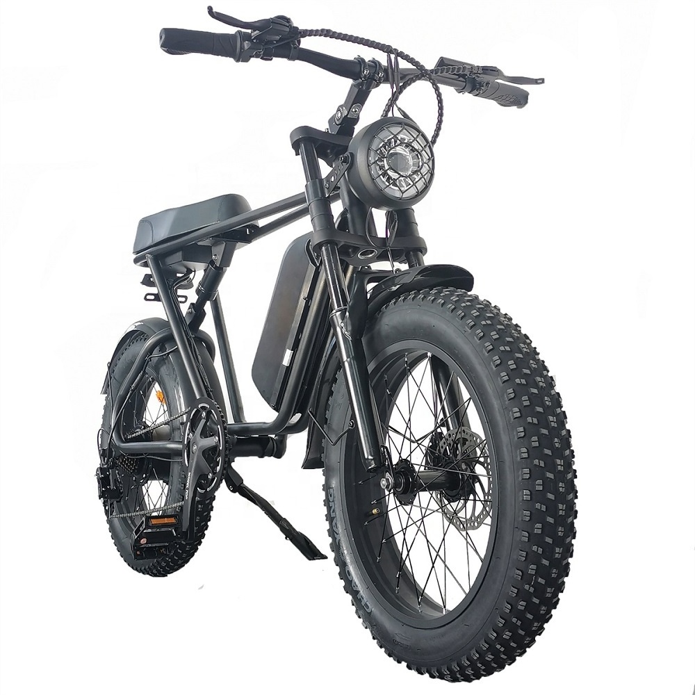 2023 New 48V 20ah 1000w 750w Electric Bicycle Electric Motorcycle Fat Tire  7 Speed Long Range Offroad Electric E-bike