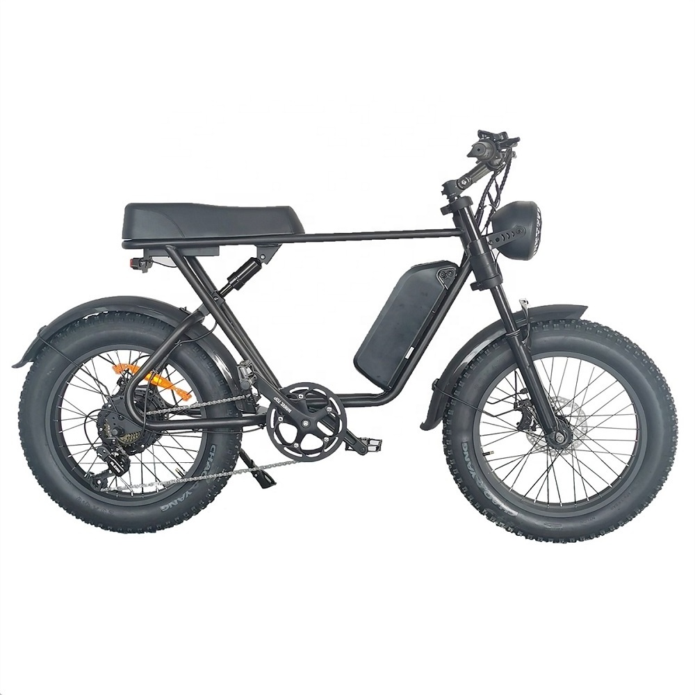 2023 New 48V 20ah 1000w 750w Electric Bicycle Electric Motorcycle Fat Tire  7 Speed Long Range Offroad Electric E-bike