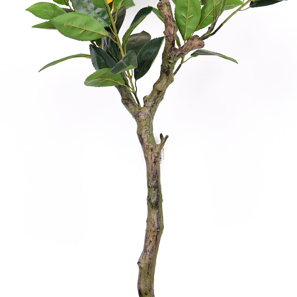 BSCI BEPI fruit lemon garden greenery large outdoor artificial bonsai trees for decoration