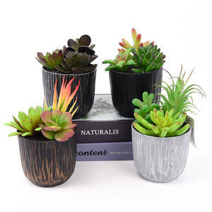 Simple style natural round pot mix potted small succulent plants artificial wholesale ceramic