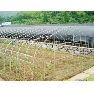 Commercial used steel frame single span greenhouse for sale