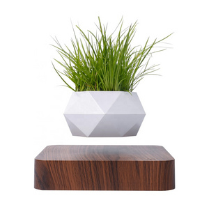 Beautiful Levitating Pot for Plants Rotating Floating Flower Pot Levitating Bonsai Potted Women Gifts