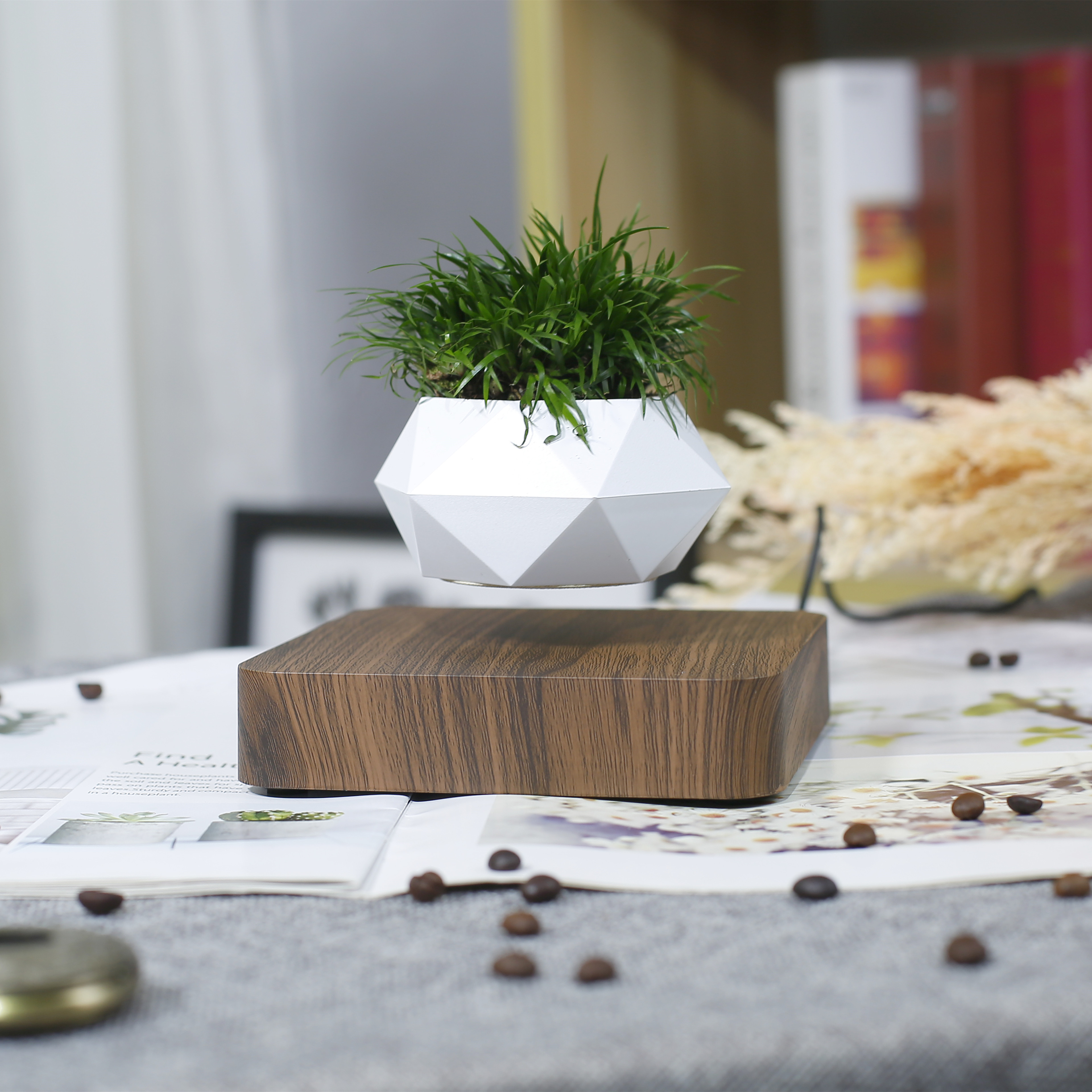 Best Selling Air Bonsai Magnetic Levitating Flower Pot Floating Plant Holder Creative Home Decoration Floating Plant Pot