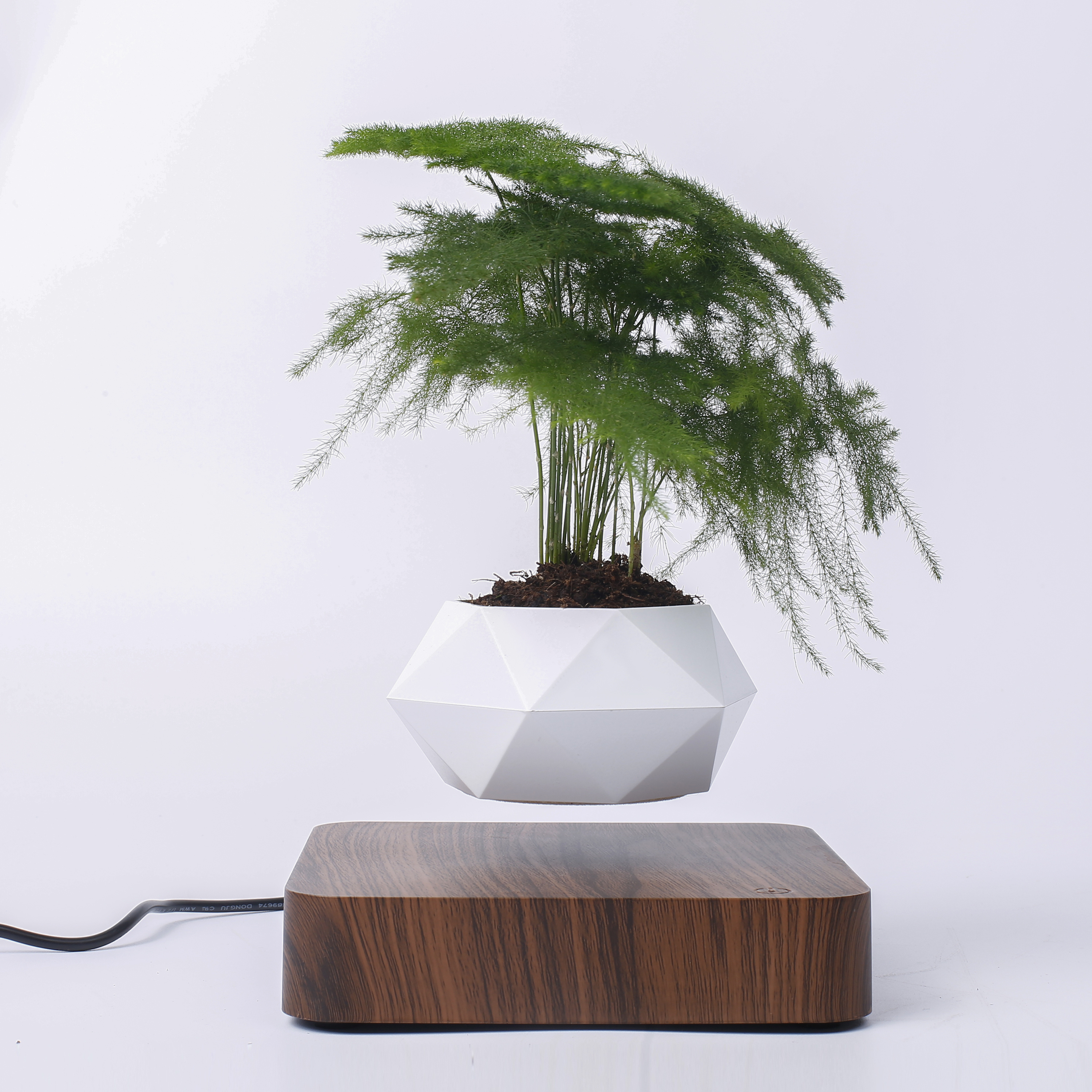 Best Selling Air Bonsai Magnetic Levitating Flower Pot Floating Plant Holder Creative Home Decoration Floating Plant Pot