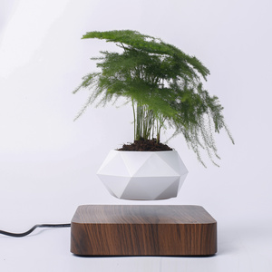 Best Selling Air Bonsai Magnetic Levitating Flower Pot Floating Plant Holder Creative Home Decoration Floating Plant Pot