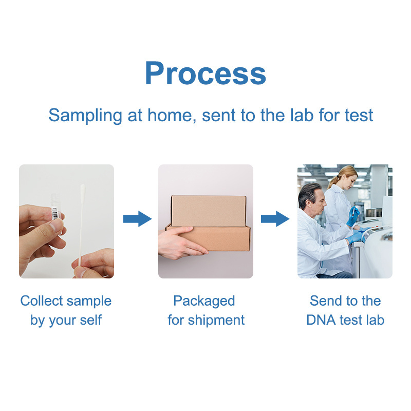 DNA Sample Collect Kit For Genetic Test Home DNA Sampling Kit For Paternity Test Buccal Swab DNA Specimen Collection Kit