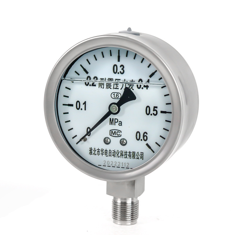 Custom or standard gas water air pressure gauges for fuel and mpa pressure gauge used in tire or hydrogen pressure