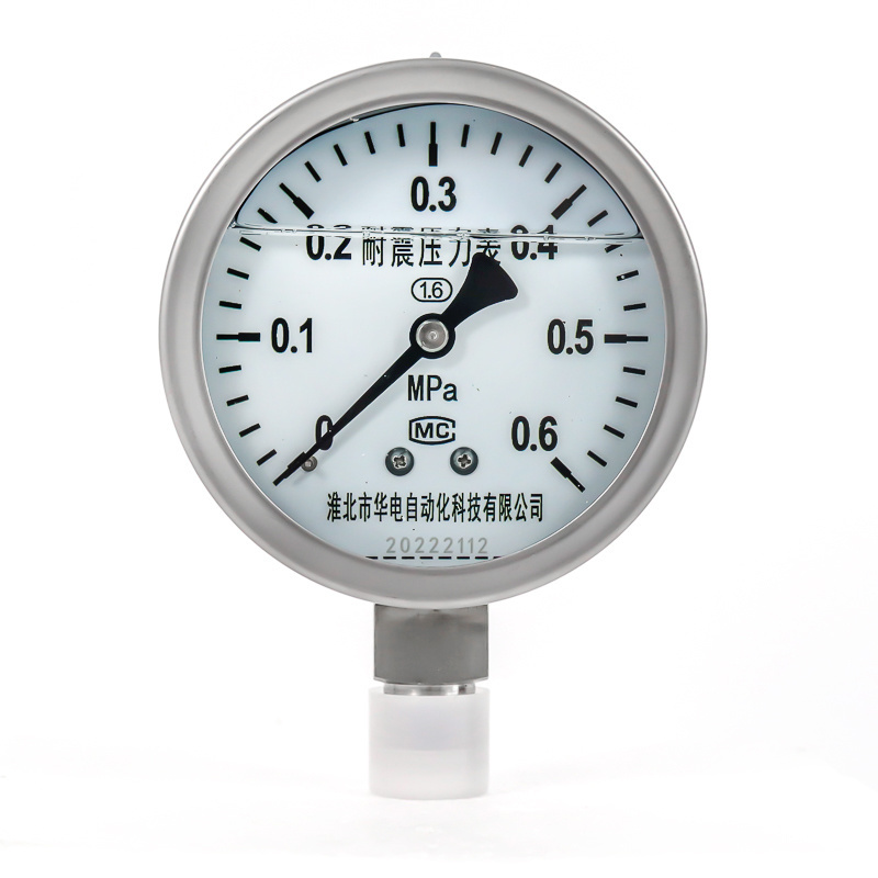 Custom or standard gas water air pressure gauges for fuel and mpa pressure gauge used in tire or hydrogen pressure