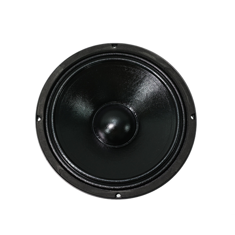 Neodymium 10 Inch Midrange Woofer Speaker Price 300w Woofer de 10 Pulgadas