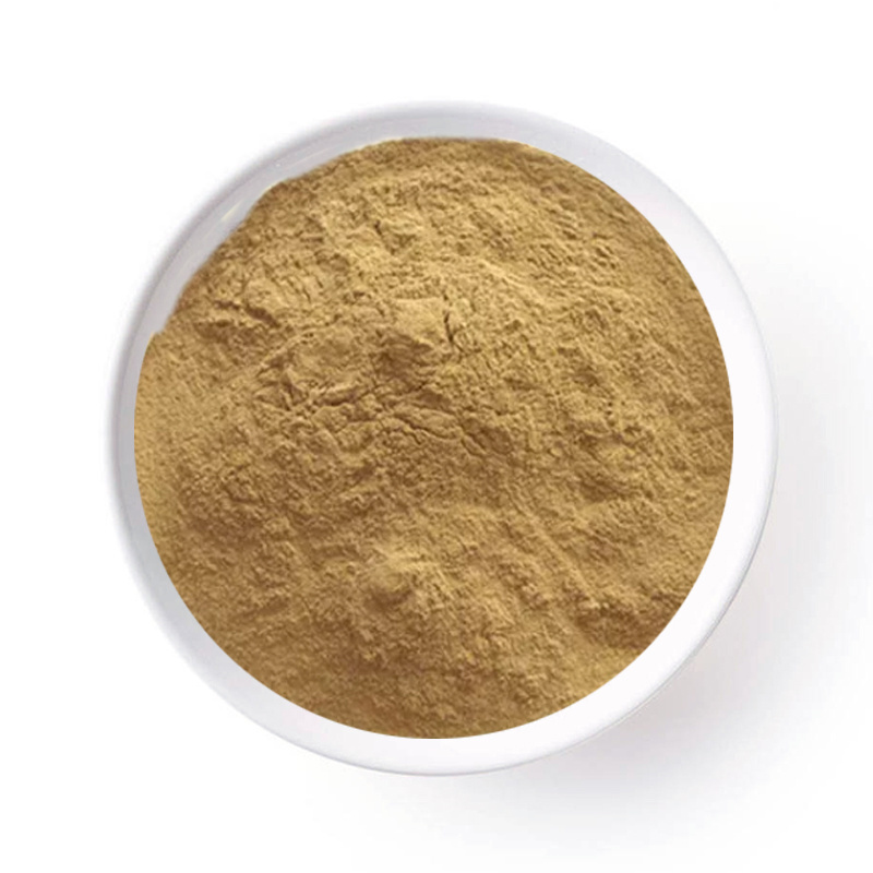 ISO High Quality Horseradish Extract Natural Factory Supply Horseradish Root Extract Powder In Stock