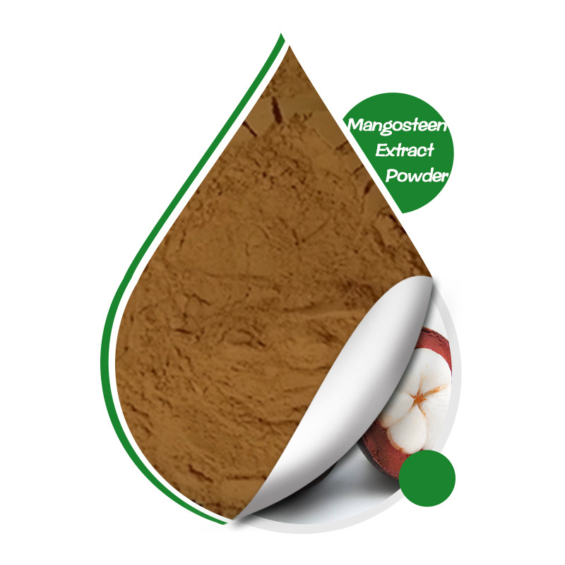 Factory Supply 10% Alpha Mangostin Mangosteen Fruit Peel Extract Powder Botanical Source Garcinia mangostana. L