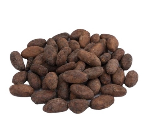 South American Roasted Cocoa Bean ASE Made in Ecuador from China Manufacturer