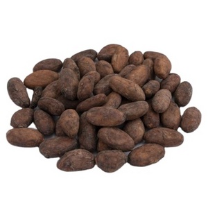 South American Roasted Cocoa Bean ASE Made in Ecuador from China Manufacturer