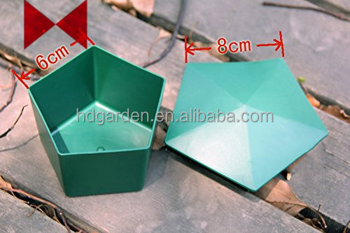 Non-toxic Pest Control Slug Traps Snail Kill Trap