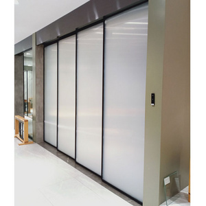 Slim Aluminum Frame Tempered Glass Sliding Door Malaysia Price Office glass Partition Door Sliding Bedroom Cloakroom Glass Doors