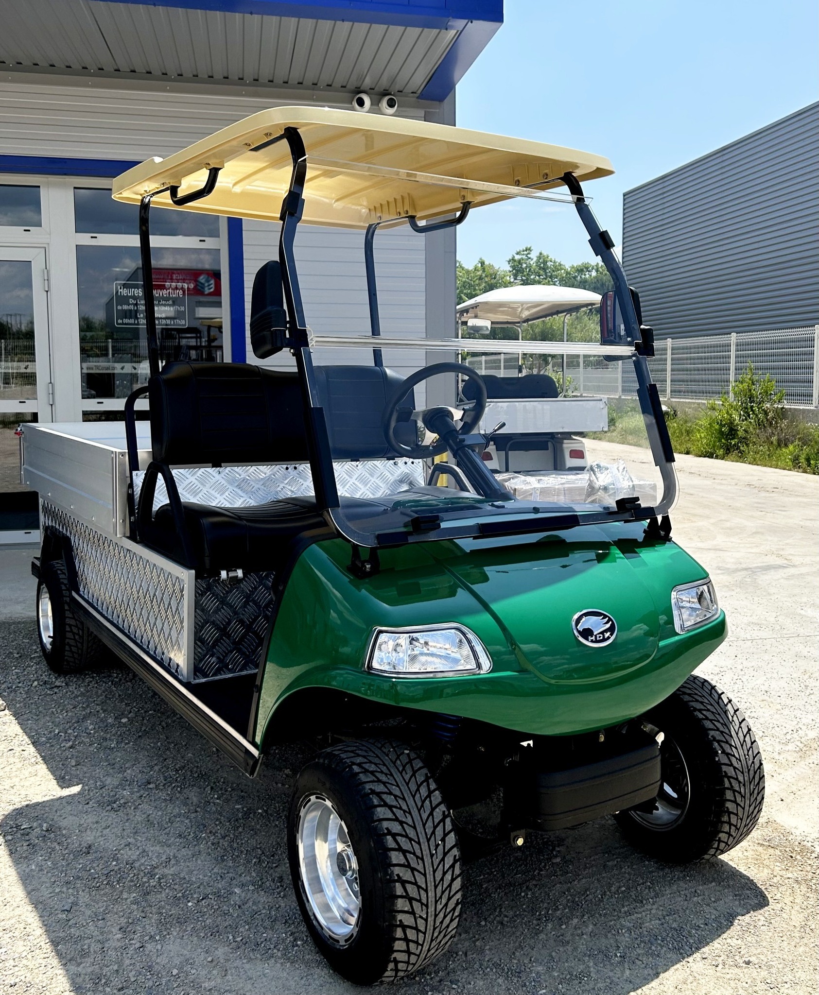 2024 Wholesale Buggy 4 Wheel For Sale Utility Vehicle MiniTruck With Cargo Box 48V HDK Evolution Electric Golf Cart