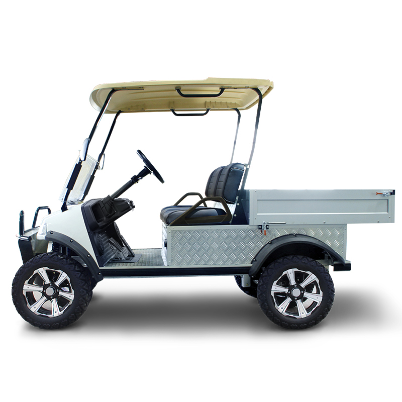 2024 New Energy HDK EVOLUTION Heavy Duty Buggy Trolley Utility Vehicle for Sale Mini Truck Cargo Box Electric Golf Cart