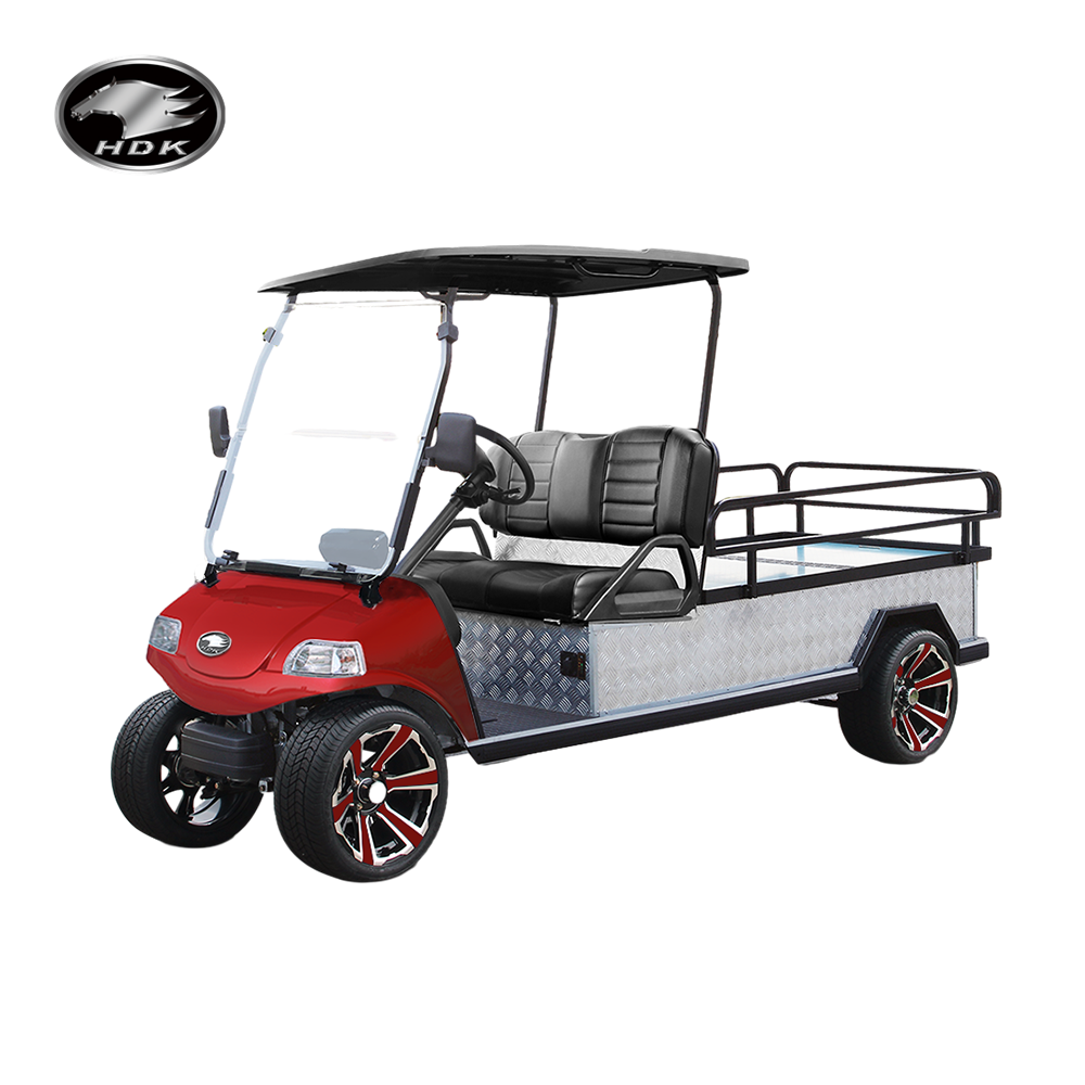 HDK EVOLUTION Heavy Duty Scooter Buggy Utility Vehicle For Sale Mini Truck Electric Cart With Cargo Box UTV