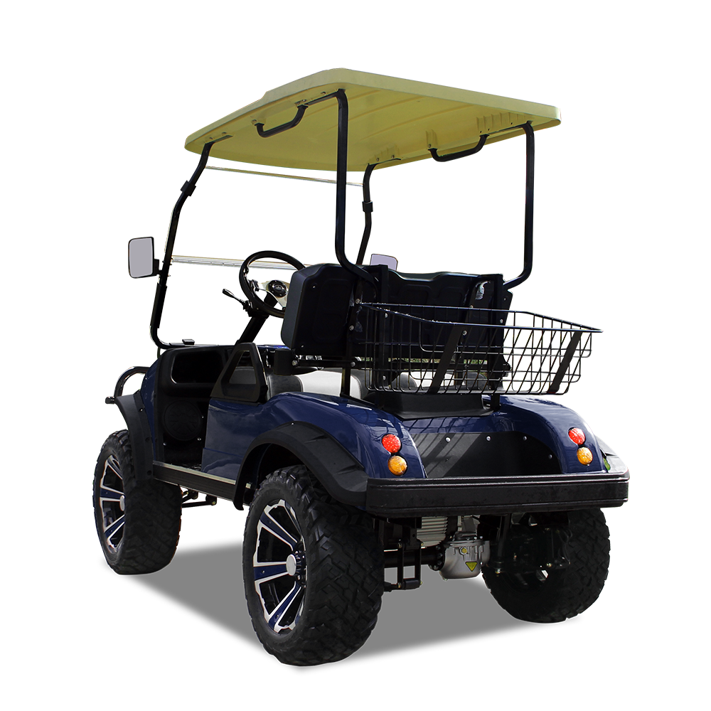 HDK EVOLUTION New For Sale Off-road Big Scooters Cheap 48V Lithium Ion Batteries Golf Buggy Mini Car Electric Golf Cart