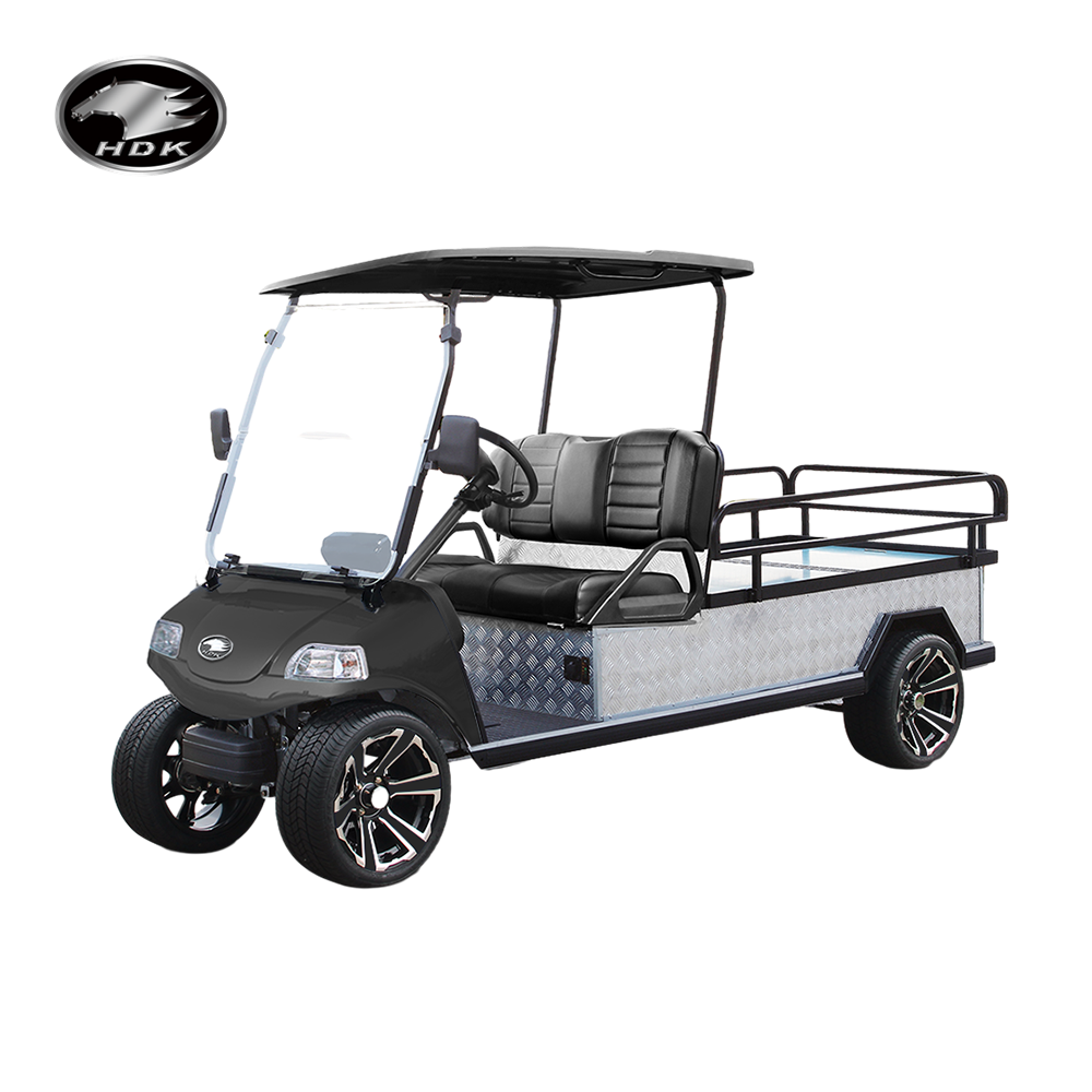 HDK EVOLUTION Heavy Duty Scooter Buggy 4 Wheel Trolley Golf Car With Box Electric Golf Cart Utility Vehicle Mini Truck