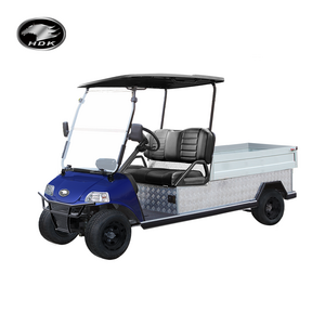 2024 New Buggy For Sale Utility Vehicle Cheap Mini Truck With Cargo Box 48V HDK Evolution Electric Golf Cart