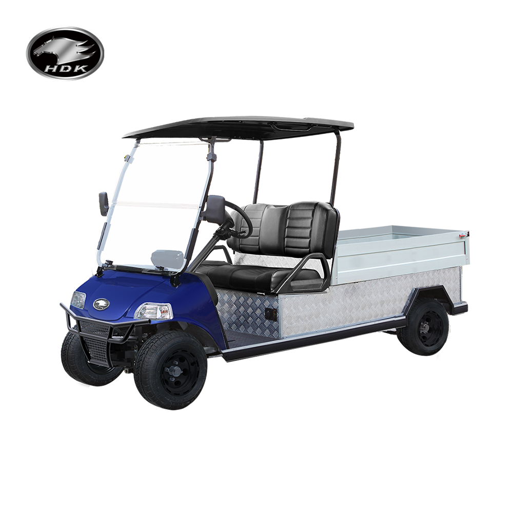 2024 Heavy Duty Buggy Utility Vehicle for Sale  Light Cargo Box Mini Truck Lithium HDK EVOLUTION Electric Golf Cart