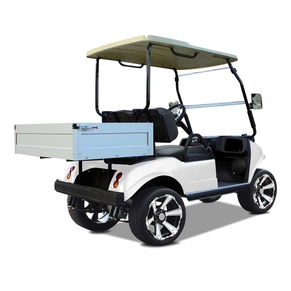 HDK EVOLUTION 2024 Brand New Electric Buggy Golf Cart Cargo Box Utility Vehicle For Sale Mini Truck 48V Prices