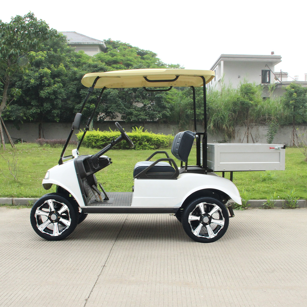 HDK EVOLUTION 2024 Brand New Cheap Electric Buggy Golf Cart Cargo Box Lifted Utility Vehicle For Sale Mini Truck 48V Prices