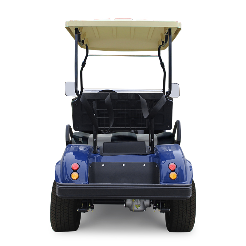 HDK EV Utility Vehicle Mini Buggy Trolley UTV Electric Golf Cart Scooter 2 Seats 48V Trucks Jeep Gokart eec coc