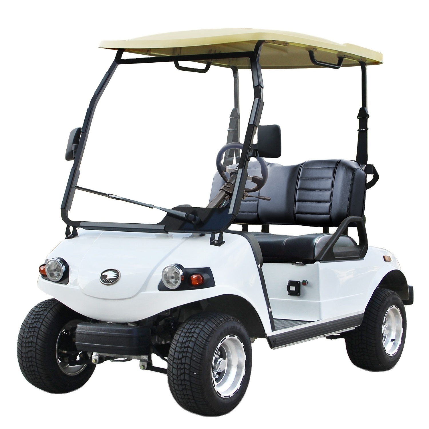 HDK 2-Seater Electric Golf Cart with 48V AC System 10 Inch Kinghike Buggy Low Price Soccer Camera 72V Lithium Battery