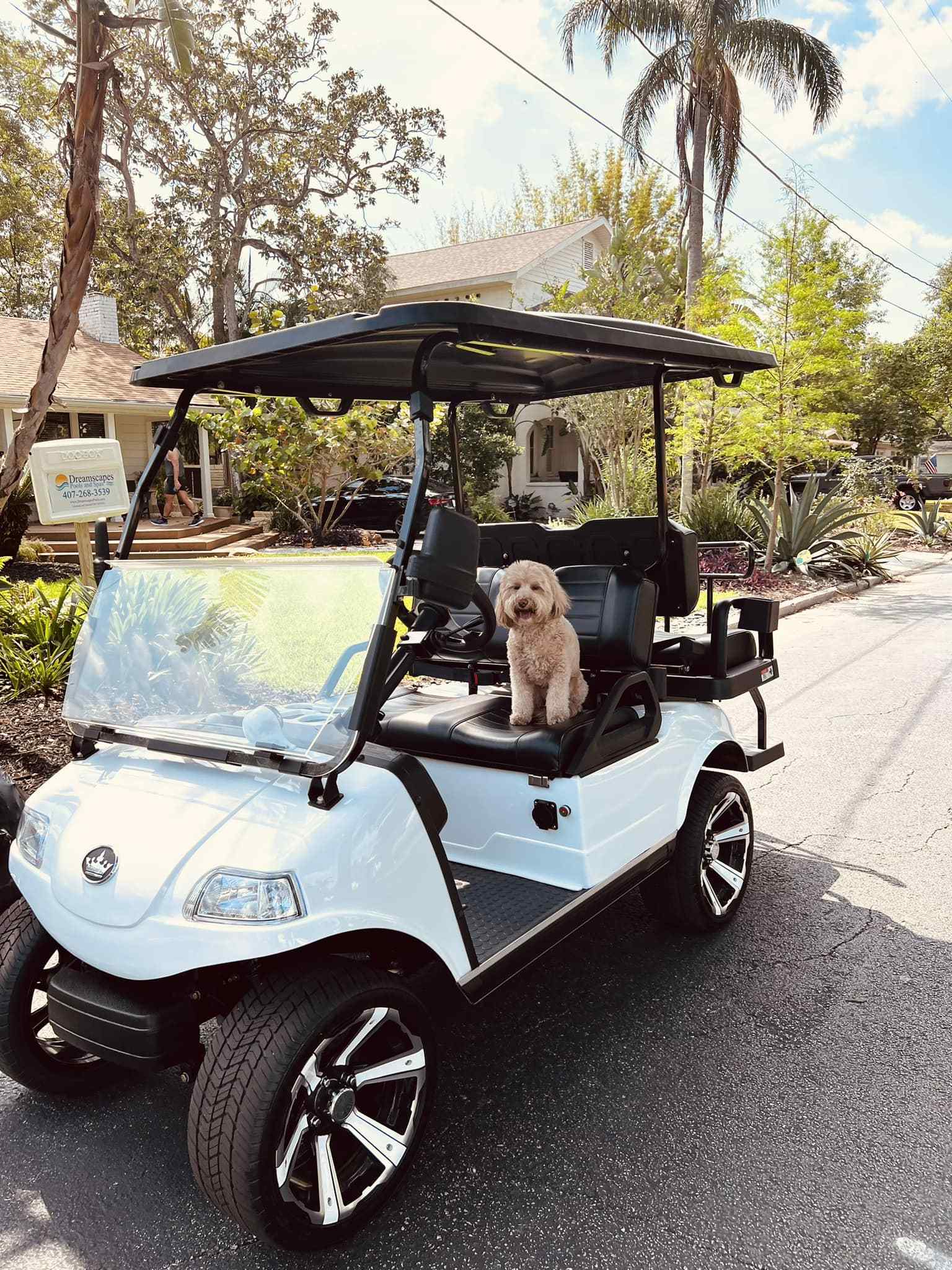 2024 Hot Selling New Energy Scooters 4 Seat Off-road Buggy For Sale HDK EVOLUTION Electric Golf Cart