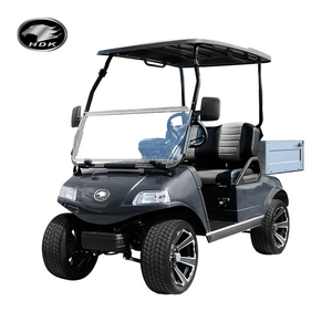 HDK EVOLUTION 2024 Brand New Electric Buggy Golf Cart Cargo Box Utility Vehicle For Sale Mini Truck 48V Prices