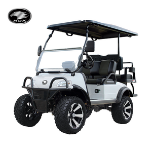 2024 New 4 Seat adults beach motorcycle Buggy for Sale Luxury 48V Electric Golf Cart HDK EVOLUTION