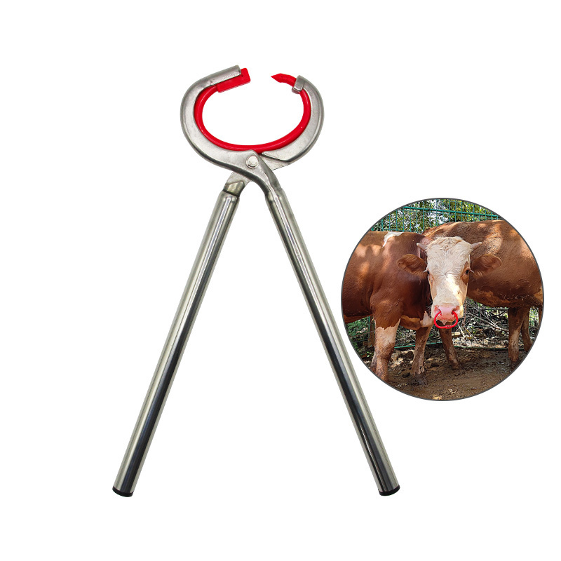 A large stainless steel pliers that can punch a calf's nose to fit a large bull nose ring