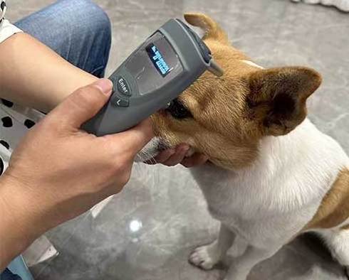 Ophthalmic Equipment Portable Handheld Rebound Tonometer for Human Eye and Animals