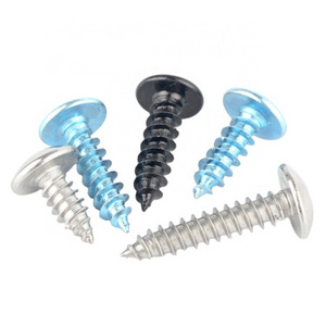 Stainless Steel 304 316 Truss Pan Mushroom Umbrella Head Cross Wood Self Tapping Screw