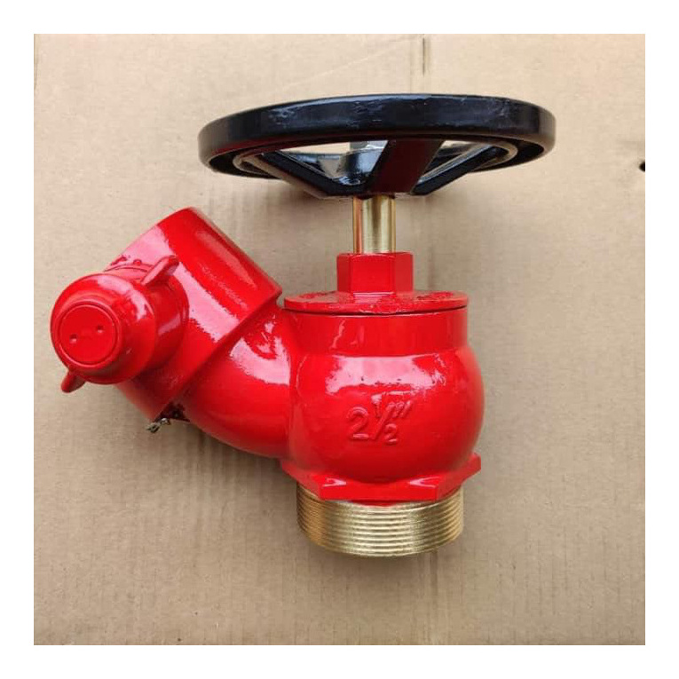 Fire Hydrant Valve, Fire Landing Valve for Fire Fighting