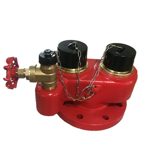 2 way breeching inlet valve