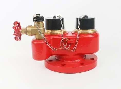 2 way breeching inlet valve