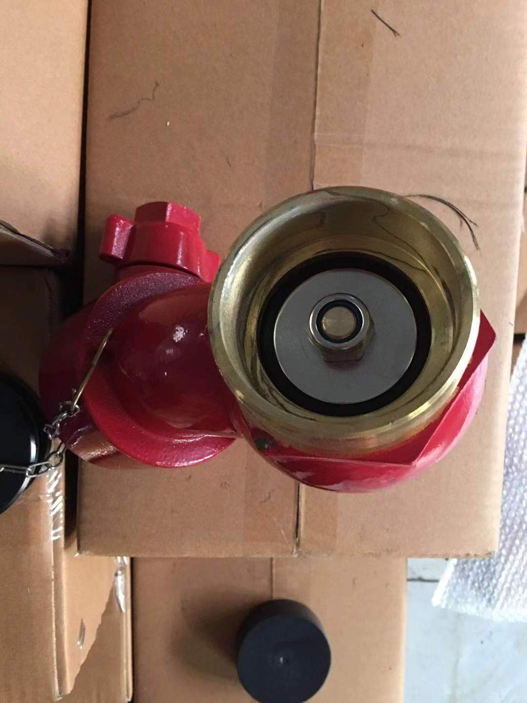 Fire Hydrant Valve, Fire Landing Valve for Fire Fighting